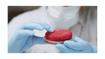 Wie sieht in-vitro Fleisch aus?