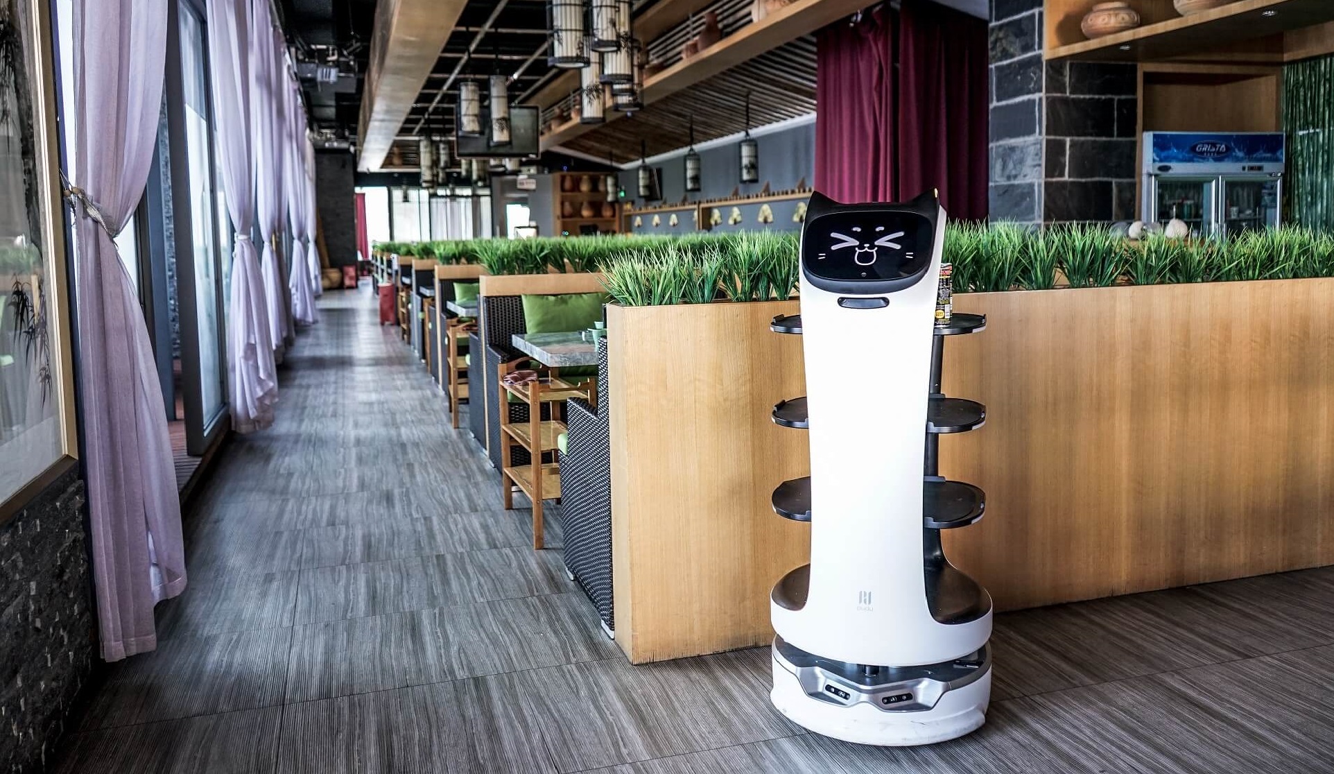 What are the arguments in favor of using robots in the catering industry?