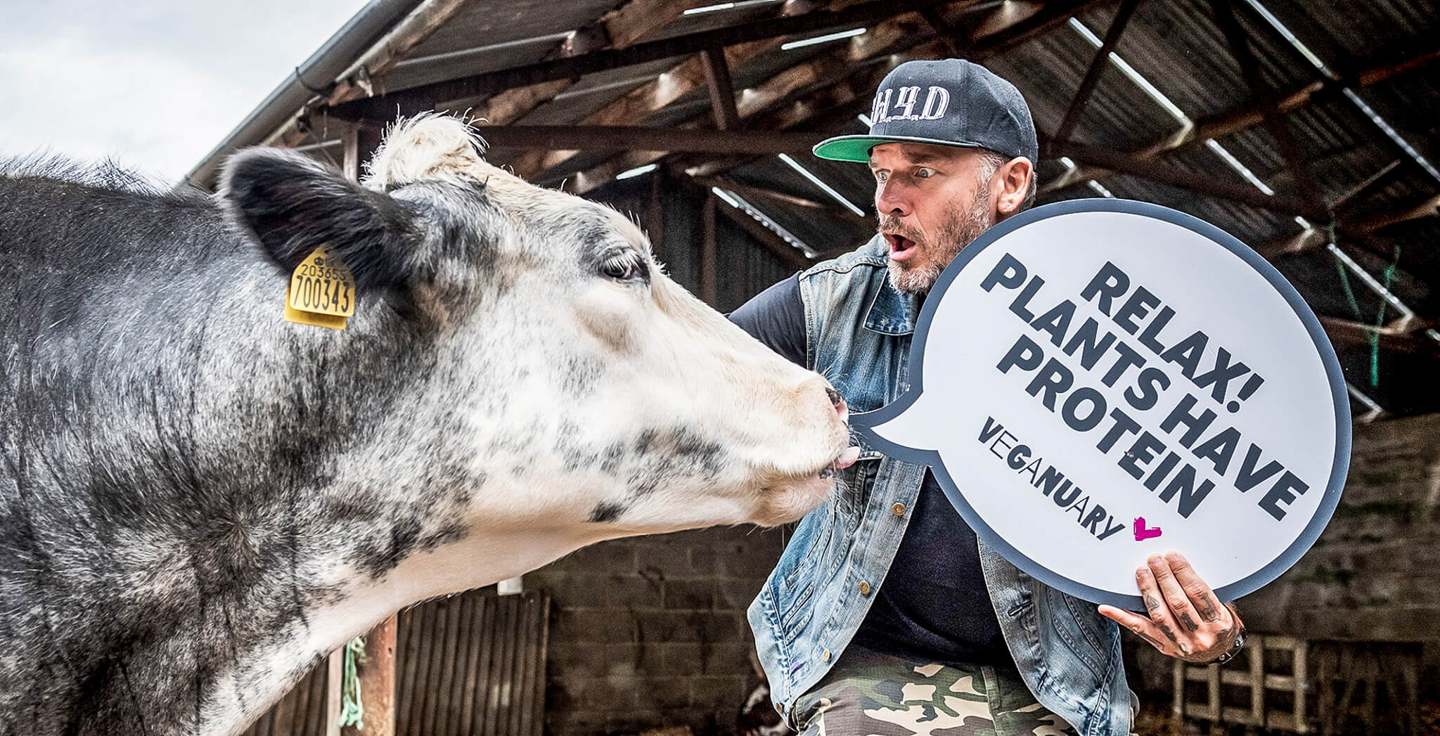 Man petting cow and holding a sign saying "Relax, plants have protein".
