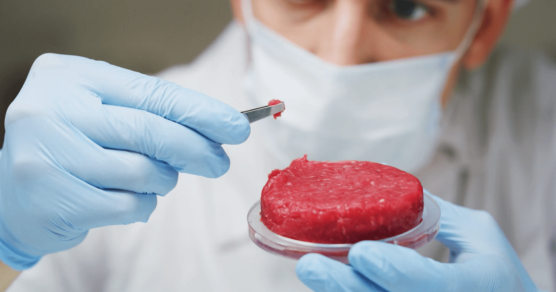 How does in-vitro beef look like?